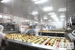 食品行業(yè)中二氧化氯技術(shù)的應(yīng)用