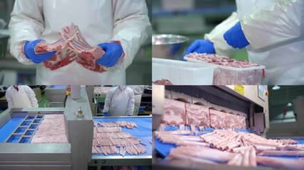肉類加工食品安全肉類加工食品安全