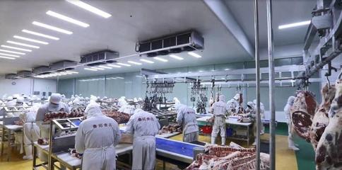 山東魯拓產(chǎn)品:打造做好牛肉加工產(chǎn)業(yè) “牛文章”