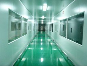 醫(yī)用凈化工程公司 潔凈工程 凈化車間設計施工 湖南凈化公司