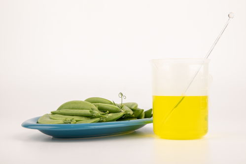 甜碗豆食品安全農(nóng)業(yè)科技食品培育攝影圖 插畫 下載至來源處