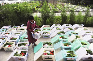 食品安全 學校食堂承包的生命線